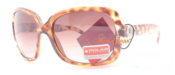 Polar 305 04