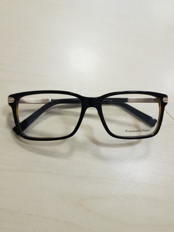 Ermenegildo Zegna EZ5009-F 005